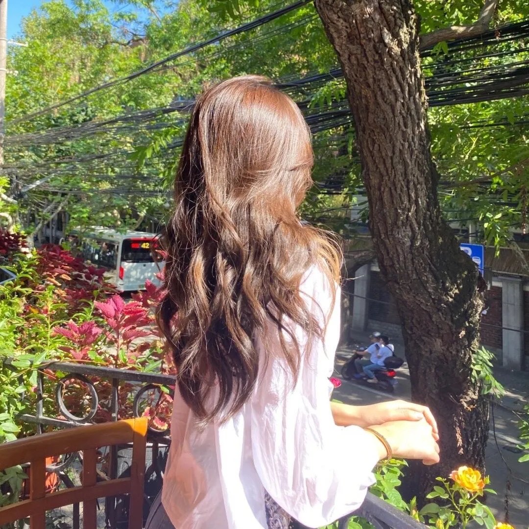 常春藤