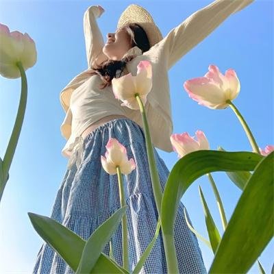荣誉曙光